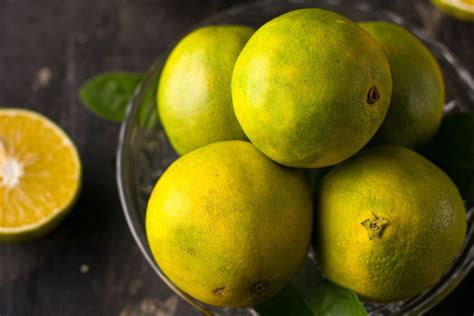 sweet lemon site officiel.